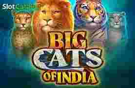 BigCats Of India GameSlotOnline - Pabrik game slot online lalu pembaruan dengan menawarkan bermacam tema menarik yang bisa menarik